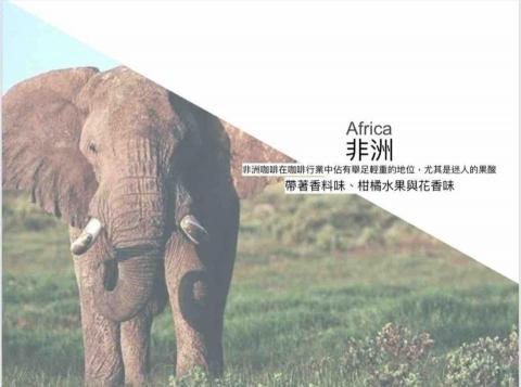 魯氏工作室 - PPT 簡報圖