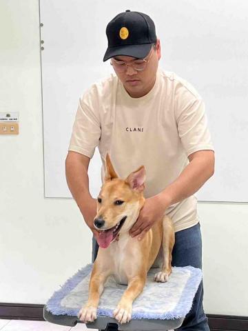 個人 - 寵物按摩