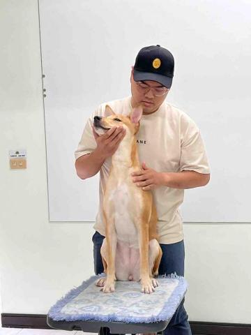 個人 - 寵物經絡按摩