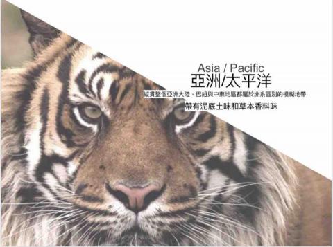 魯氏工作室 - PPT 簡報圖