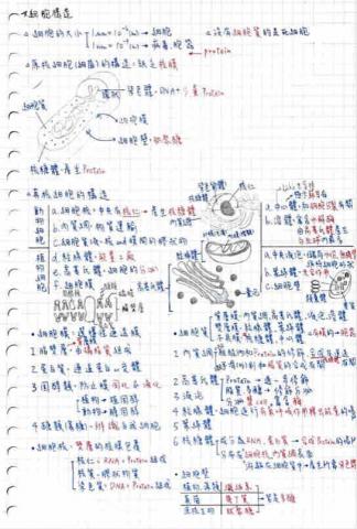 張豪益 - 生物筆記