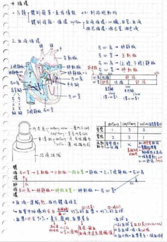 張豪益 - 生物筆記
