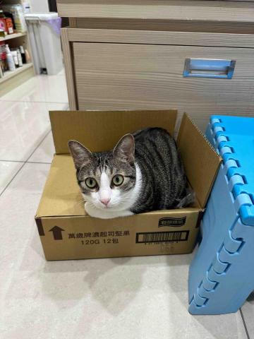 郭明綺 -  郭明綺 -