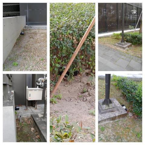 斯巴達病媒防治有限公司 -  斯巴達病媒防治有限公司 -