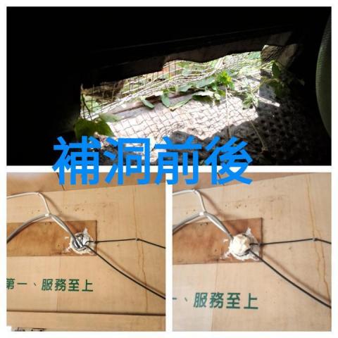 斯巴達病媒防治有限公司 -  斯巴達病媒防治有限公司 -
