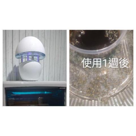 斯巴達病媒防治有限公司 - 捕蟲燈安裝 斯巴達病媒防治有限公司 - 捕蟲燈安裝