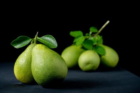 AKA Studio 影視製作工作室 - 