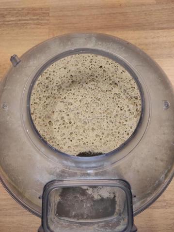 kavin專業清洗沙發床墊 - 專業醫療級除蟎，滿滿的一盆蟎蟲，就在您環境的周遭，趕緊預約