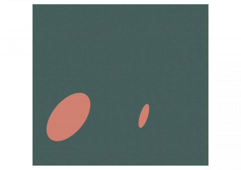 PAUL - 設計兼前端工程師 侯又寧