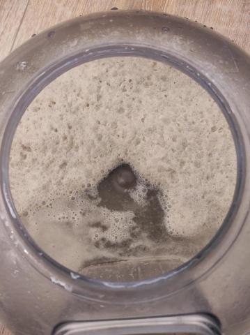 kavin專業清洗沙發床墊 - 專業除蟎蟲的結果，這樣跟您共枕還敢睡覺嗎？