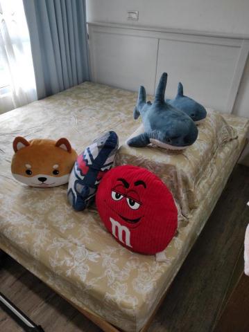 kavin專業清洗沙發床墊 - 專業醫療級除蟎更換床單後