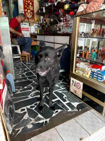 大台北開鎖班 - 小黑美照