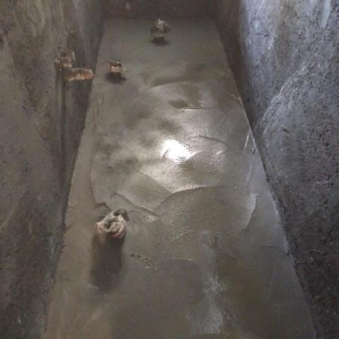 大高雄永豐萬能工作室 - 2023/5/11 梓官 廁所粗胚/施工後