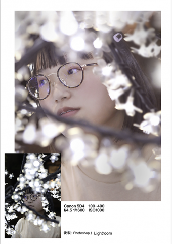 毛毛 - 調色與精修