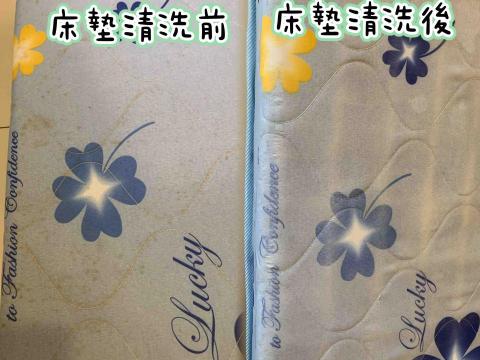 王姿惠 -  王姿惠 -