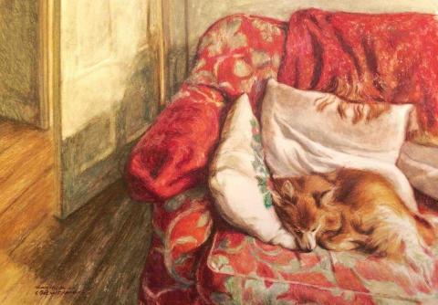 黃錫鈞 - 個人創作