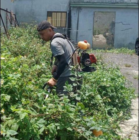 新竹除草，新竹鋸樹，園藝服務 - 