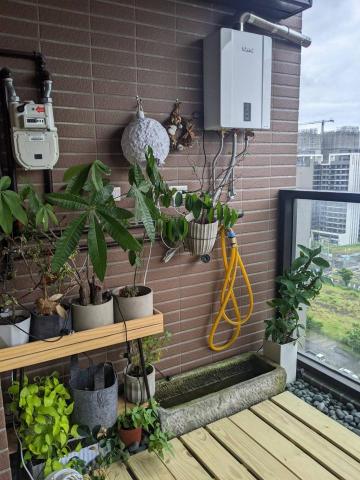 Hsiu Chen Hsu - 陽台佈置