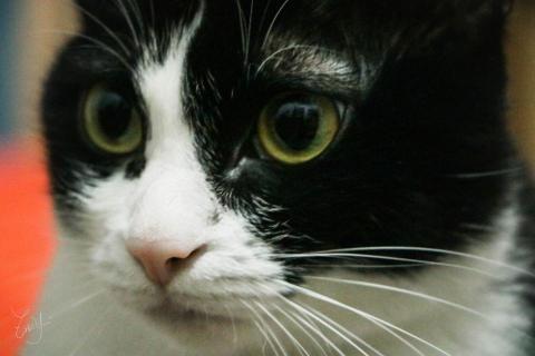 Sasaki Zaki Yui‧崎優 -  Sasaki Zaki Yui‧崎優 -