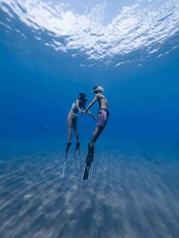 bluemaoday 自由潛水工作室 - 