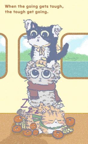 Sasaki Zaki Yui‧崎優 -  Sasaki Zaki Yui‧崎優 -