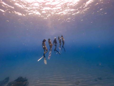 bluemaoday 自由潛水工作室 - 