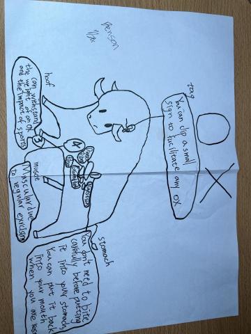 傅薰儀 - 藉由喜愛的動物增加知識及英文上的理解