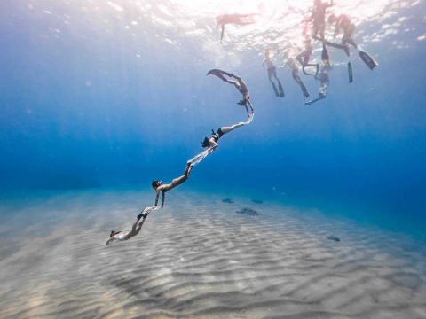 bluemaoday 自由潛水工作室 - 