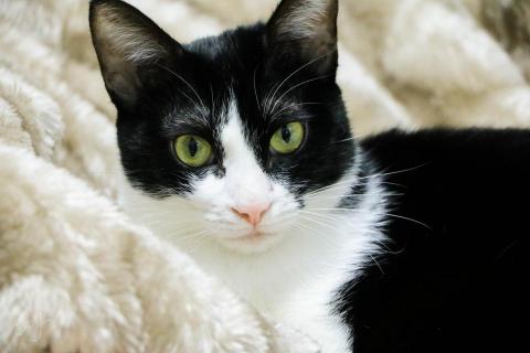 Sasaki Zaki Yui‧崎優 -  Sasaki Zaki Yui‧崎優 -