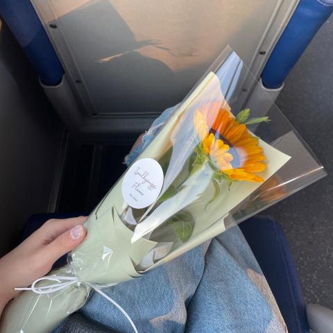 提供韓文服務的專家hedy