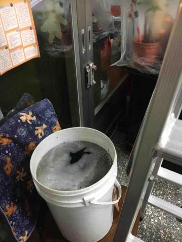 泓棋冷凍冷氣空調工程行 - 洗下來的髒水