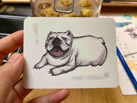 zeit_pi -  zeit_pi -