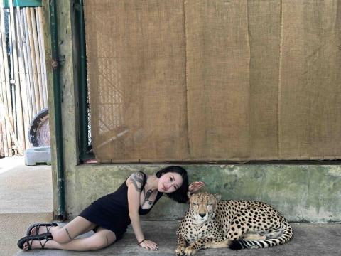 派大星 - 很兇的花豹