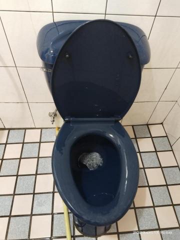 陳雅惠 - 清潔後