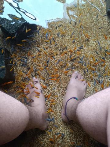 臺灣好好玩Taiwan fun  - 給魚去腳質：）