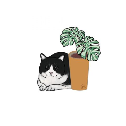 江子帆 - 寵物插圖