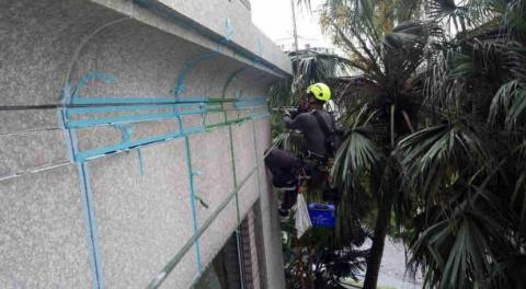 蜘蛛人 - 外牆矽利康更新