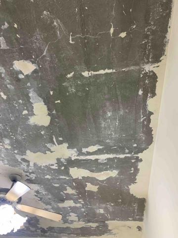 全能丹尼-服務到家 - 壁癌刮除 全能丹尼-服務到家 - 壁癌刮除