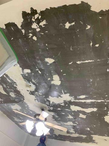 全能丹尼-服務到家 - 壁癌護理 全能丹尼-服務到家 - 壁癌護理