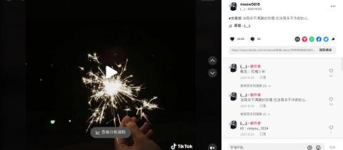 許甄洹 - TikTok文案帳號經營