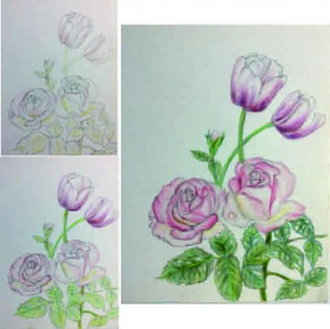 小太陽美術 - 彩色鉛筆畫示圖