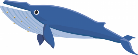 アート・シー - ai檔(插畫