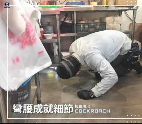 斯巴達病媒防治有限公司 -  斯巴達病媒防治有限公司 -