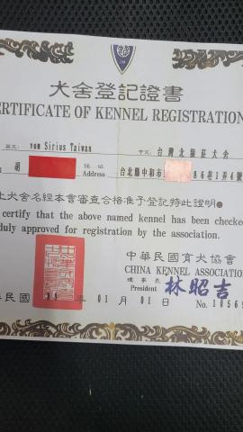 Hans - 犬協會證書