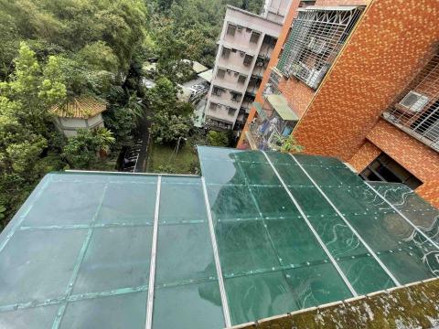 鍾芳永 - 採光罩