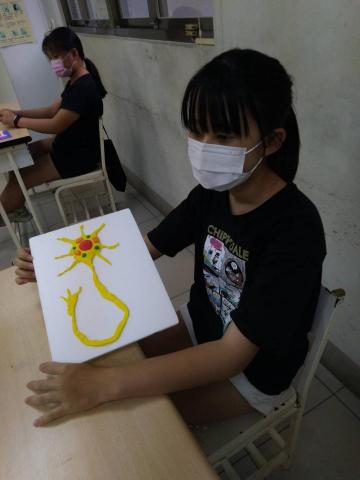 萬老師-數理家教 - 細胞模型DIY--神經細胞