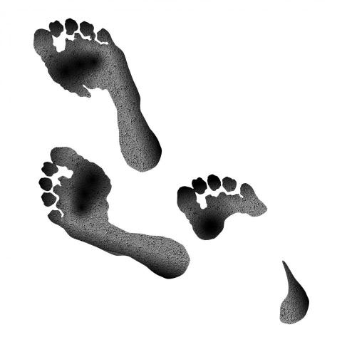 提供giigke ads服務的專家苓可