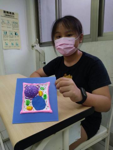 萬老師-數理家教 - 細胞膜型DIY--植物細胞