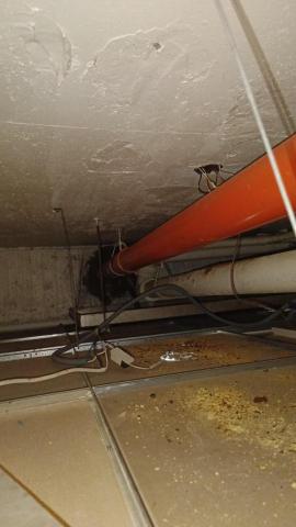 豪威工程團隊 - 鑄鐵管鏽蝕更換PVC厚管作業