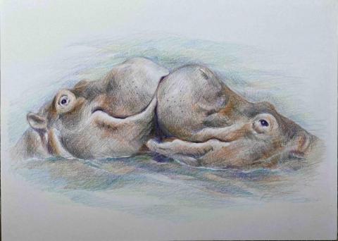 Jasmine老師 - 色鉛筆